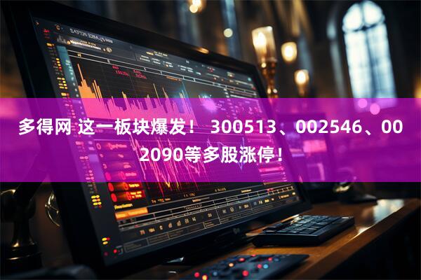 多得网 这一板块爆发！ 300513、002546、002090等多股涨停！