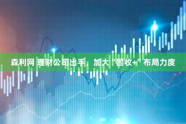 森利网 理财公司出手，加大“固收+”布局力度