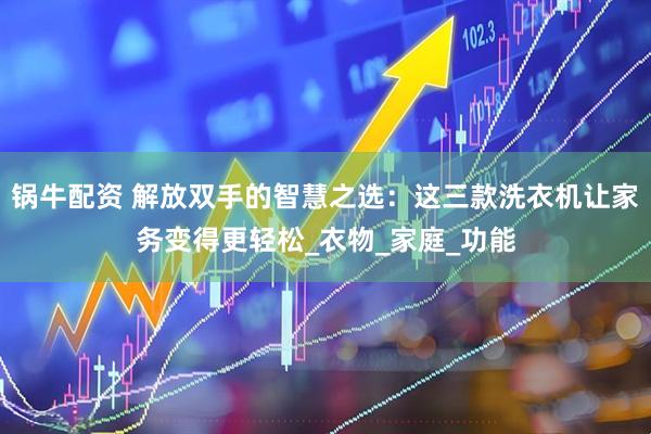 锅牛配资 解放双手的智慧之选：这三款洗衣机让家务变得更轻松_衣物_家庭_功能