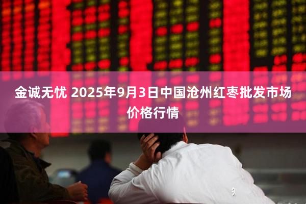 金诚无忧 2025年9月3日中国沧州红枣批发市场价格行情