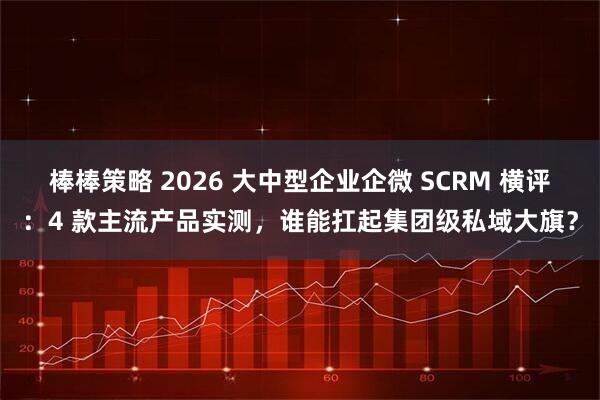棒棒策略 2026 大中型企业企微 SCRM 横评：4 款主流产品实测，谁能扛起集团级私域大旗？